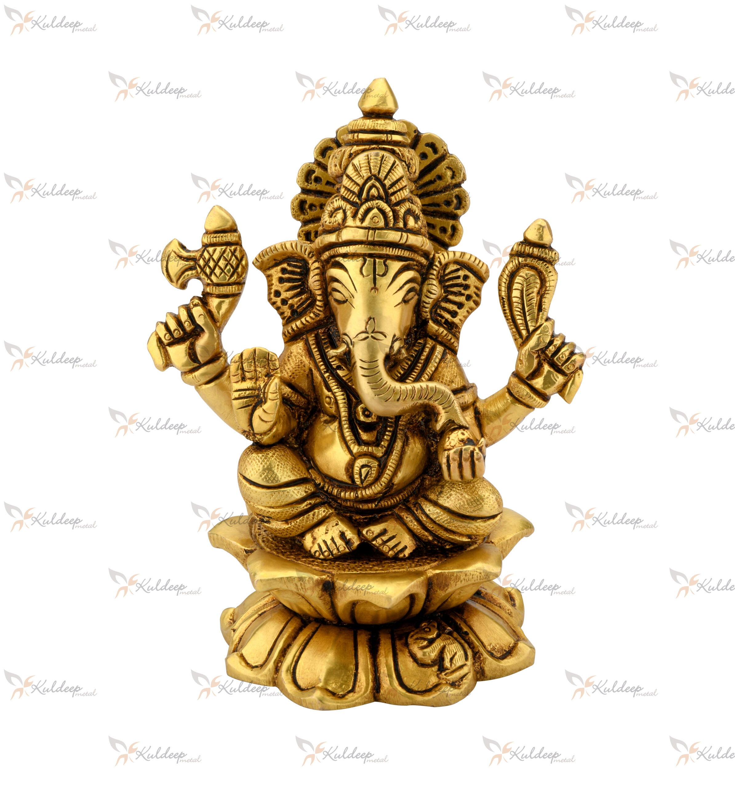 Ganesh Laxmi - Image 4